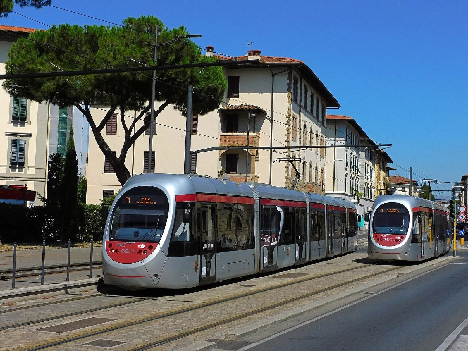 Due tram argentati e rossi della tramvia di Firenze fermi lungo un viale alberato, con un grande pino marittimo e palazzi color crema sullo sfondo sotto un cielo azzurro